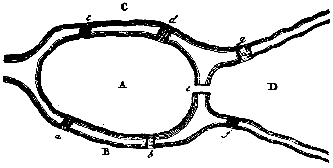 Figure 1 historique du problème des sept ponts, dessinée par Euler